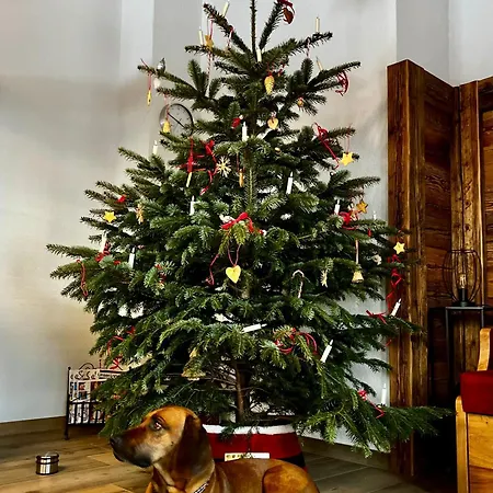 Apartament Walker Rettenbach