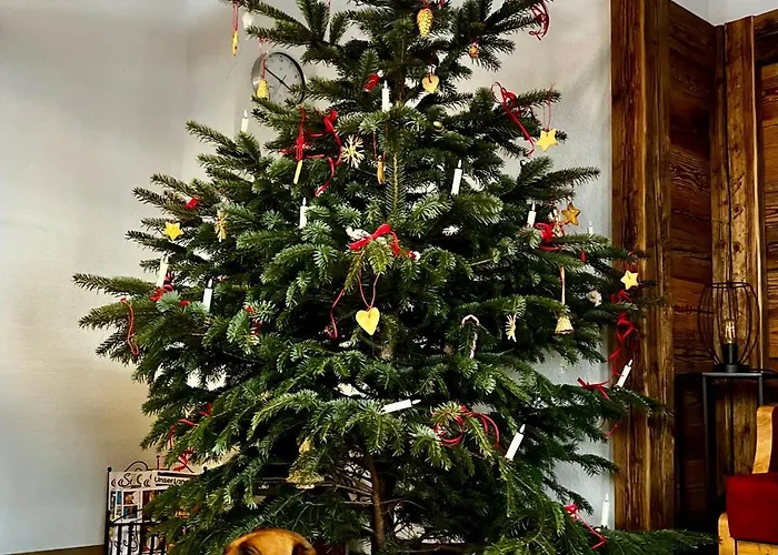 Apartment Walker Mit Privater Sauna Rettenbach