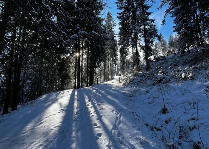 Walker Mit Privater Sauna Apartmán *